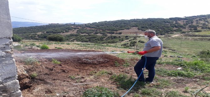 Kula’da İlaçlama Çalışmalarına Devam