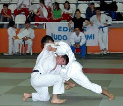 Ferdi Judo Şampiyonası