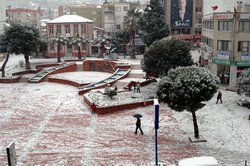 Buzlanma, Don Olayı Bekleniyor