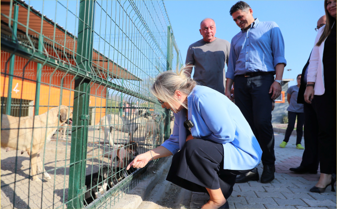 AK Parti İzmir Milletvekili Ceyda Bölünmez Çankırı Barınaktan Yavru Köpek Sahiplendi