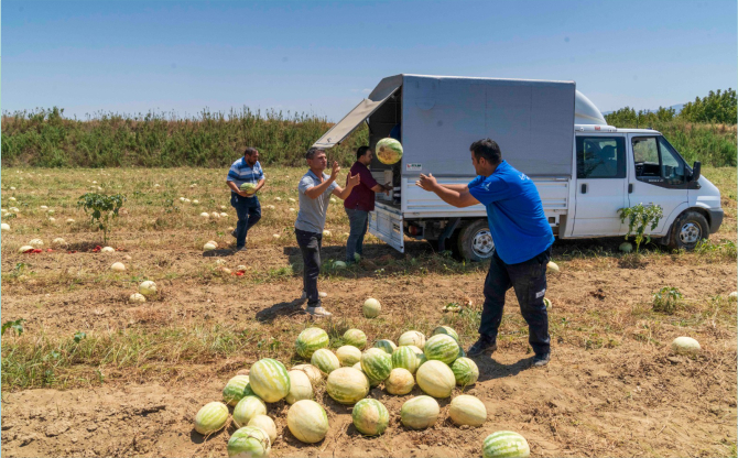 Büyükşehir’den çiftçiye 270 milyon liralık destek