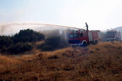 Aliağa’da Orman Yangını