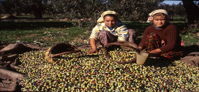 TARİŞ Başkanı Çetin’den Sektöre Reçete