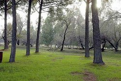 Sasalı’ya Doğal Yaşam Parkı