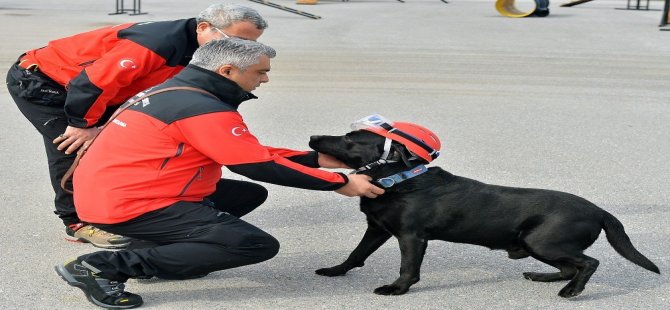 Onların İşi Hayat Kurtarmak