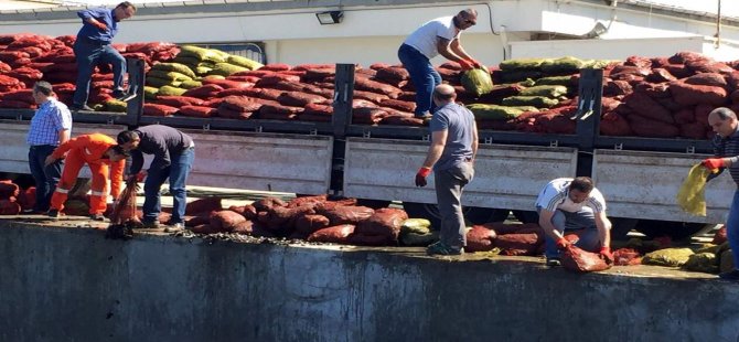 İzmir’de 24 Ton Kaçak Midyeye El Konuldu