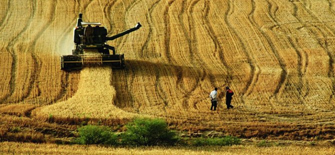 Et, Canlı Hayvan, Buğday, Arpa Ve Mısırda Gümrük Vergisi İndirimi…