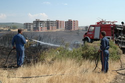 Aliağa’da MakilikYangını