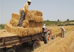 Aliağa Limanlarında İTHAL Saman