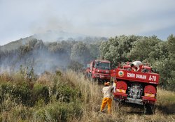 Foça'da orman Yangını