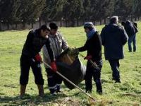 Mahkumlardan mezarlık temizliği