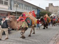 Deve güreşlerinin Kırkpınar’ı Edremit’te…