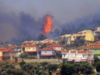 Foça Yeniden Yeşillenecek