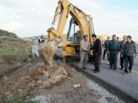 Aliağada Yol Ağaçlandırması