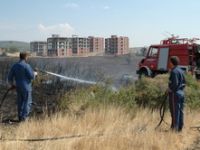 Aliağa’da MakilikYangını