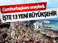 Büyükşehir Belediye yasası